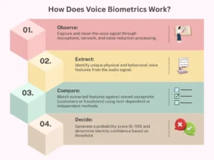 How Does Voice Biometrics Work?